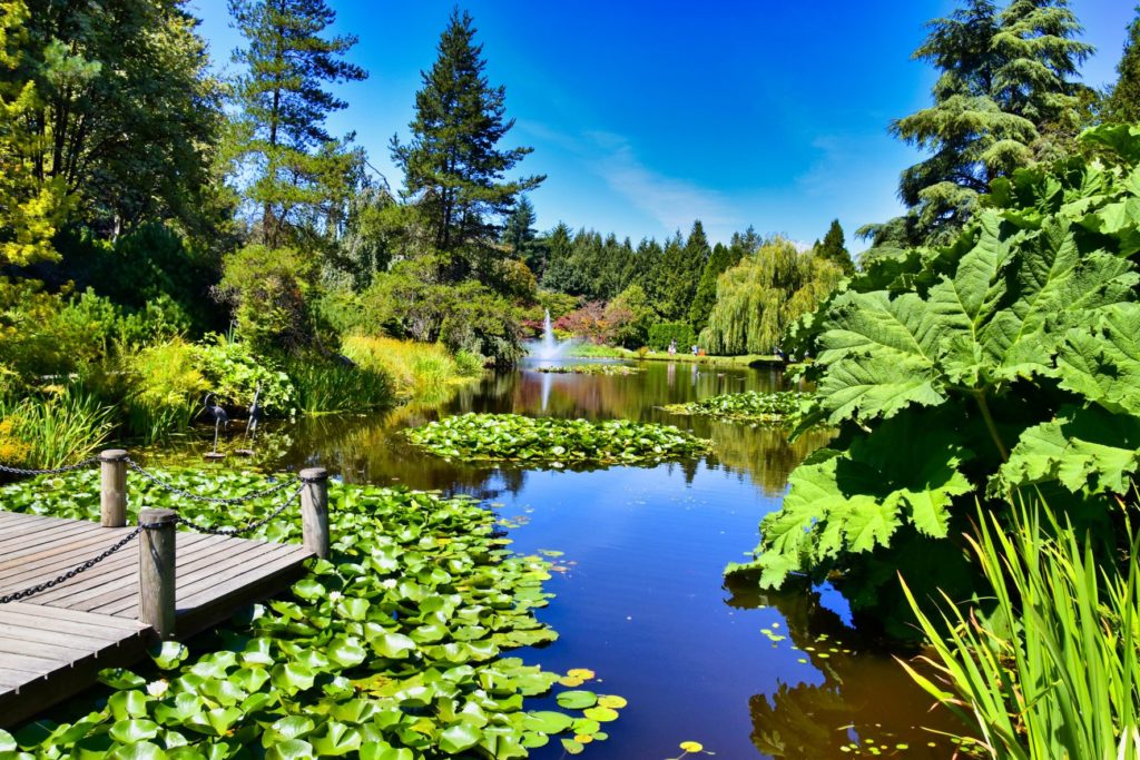 VanDusen Botanical Garden Vancouver Experience