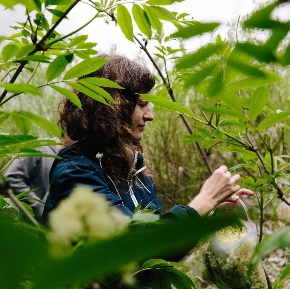 Spring Foraging Trip by Swallow Tail, photo of foraging in Vancouver